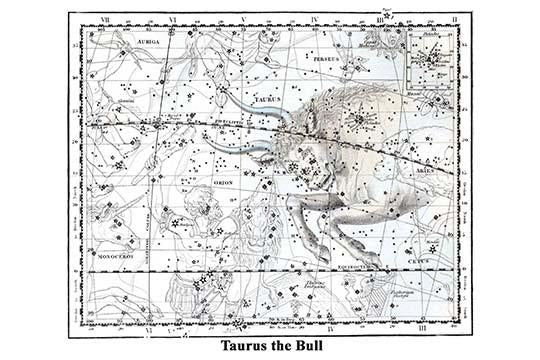 Taurus Constellation Poster Print by Alexander Jamieson