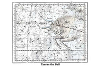 Taurus Constellation Poster Print by Alexander Jamieson