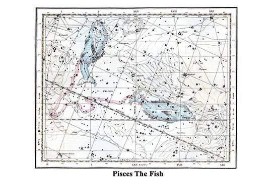Pisces constellation poster print by Alexander Jamieson featuring two fish connected by a ribbon.