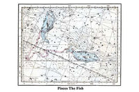 Pisces constellation poster print by Alexander Jamieson featuring two fish connected by a ribbon.