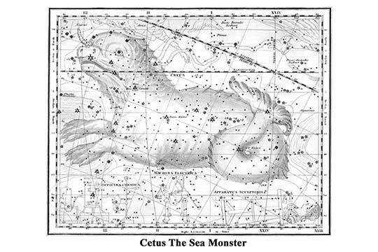 Cetus Constellation Poster Print by Alexander Jamieson in vibrant colors.