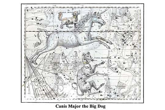 Canis Major constellation poster print by Alexander Jamieson