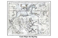Canis Major constellation poster print by Alexander Jamieson