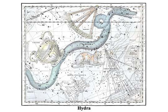 Hydra Constellation Poster Print by Alexander Jamieson showcasing the night sky.