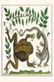 Bufo Marinus Vintage Art Print by Albertus Seba