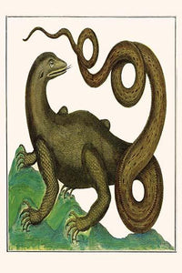 Squamata vintage art print by Albertus Seba, showcasing reptiles and amphibians.