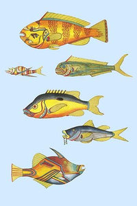 Rare Tropical Fish of the East Indies Art Print by Louis Renard featuring diverse marine life.
