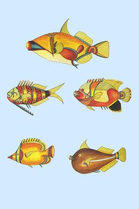 Rare Tropical Fish of the East Indies Poster Print by Louis Renard