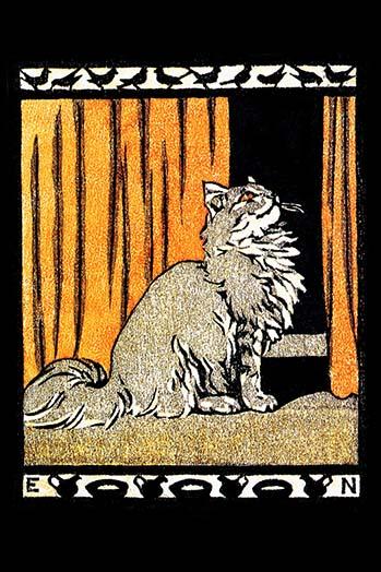 Cat looking up with orange curtains and playful border design featuring birds and pitchers of milk.