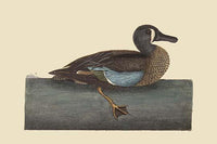 White Face Teal vintage art reproduction poster print by Catesby