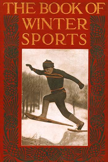 Winter Sports Poster Print showcasing various cold-weather sports activities.
