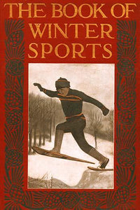 Winter Sports Poster Print showcasing various cold-weather sports activities.