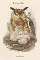 Bubo Maximus Eagle Owl vintage art print by John Gould.