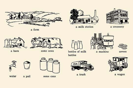 Milk Journey Educational Poster Print illustrating the process from farm to table.