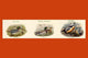 Ducks Composite Horizontal Poster Print by John Gould
