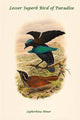 Lophorhina Minor - Lesser Superb Bird of Paradise Poster Print by John Gould