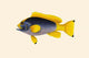 Kaha Laweyah vintage art print by John Whitchurch Bennett, high-quality reproduction.