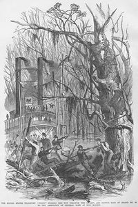 Riverboat 'Terry' navigates the bayous poster print by Frank Leslie