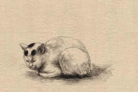 Vintage cat artwork poster print by Kano, showcasing charming feline artistry.