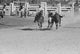 Bulldogging at the Rodeo in Miles City, Montana Poster Print by Arthur Rothstein