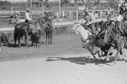 Bulldogging at the Rodeo in Miles City, Montana Poster Print by Arthur Rothstein