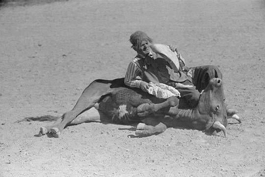 Rodeo clown holding down a steer poster print by Arthur Rothstein