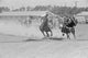 Bulldogging at the Rodeo in Miles City, Montana Poster Print by Arthur Rothstein