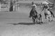 Bulldogging at the Rodeo in Miles City, Montana Poster Print by Arthur Rothstein