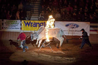 Bull jumping through a flaming hoop at the Southeastern Livestock Exposition Championship Rodeo poster print.