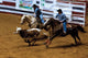 Southeastern Livestock Exposition Championship Rodeo Poster Print featuring cowboys bulldogging by Carol Highsmith.