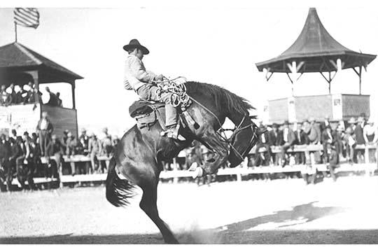 Man Riding a Bronco Poster Print in front of spectators.