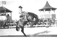 Man Riding a Bronco Poster Print in front of spectators.