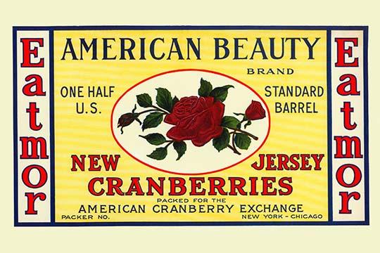 Cranberry Crate Label Poster Print showcasing vintage food packaging art