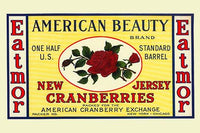 Cranberry Crate Label Poster Print showcasing vintage food packaging art