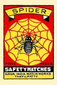Arachnid in a web poster print showcasing intricate spider design.