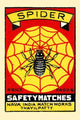 Arachnid in a web poster print showcasing intricate spider design.