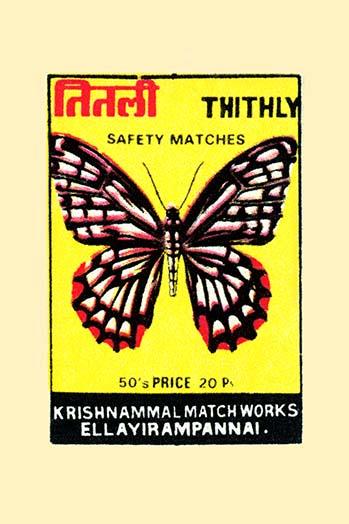 Beautiful Butterfly Poster Print showcasing intricate design and vibrant colors.