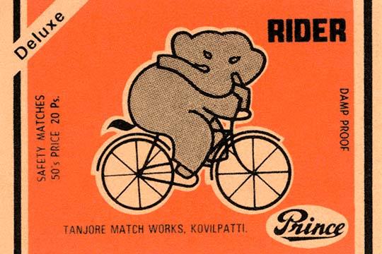 Whimsical elephant riding a bicycle poster print