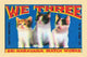 Three Kittens Poster Print showcasing vintage matchbox art.