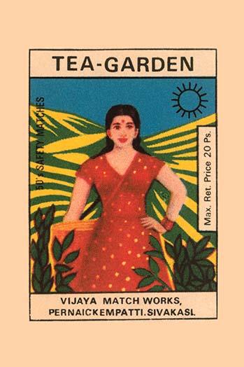 Vintage matchbox cover art featuring a woman picking tea leaves in the fields.