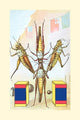 Acrobatic Grasshoppers performing an inverted pyramid in a circus poster print.