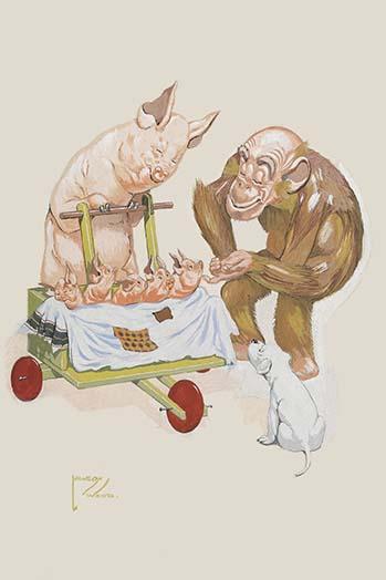 Gran'pop children's book illustration featuring a sow and a monkey by Lawson Wood.
