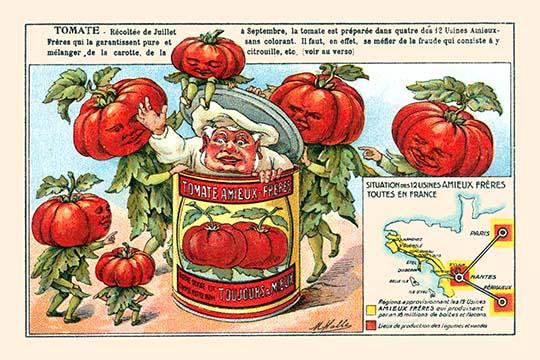 Tomatoes Chef Can Poster Print by M. Halle - whimsical art for kitchens
