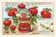 Tomatoes Chef Can Poster Print by M. Halle - whimsical art for kitchens