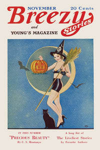Breezy Stories Witch with Jack-O-Lantern Poster Print featuring a witch, bats, and a black cat under a moon.