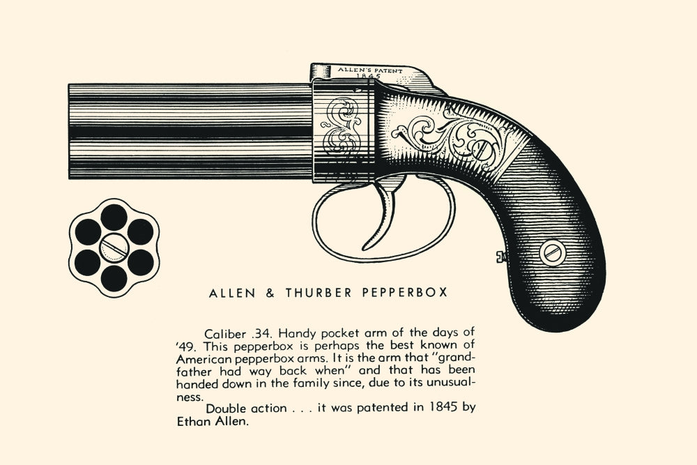 Illustrated page from a historical book on guns, showcasing various firearms.