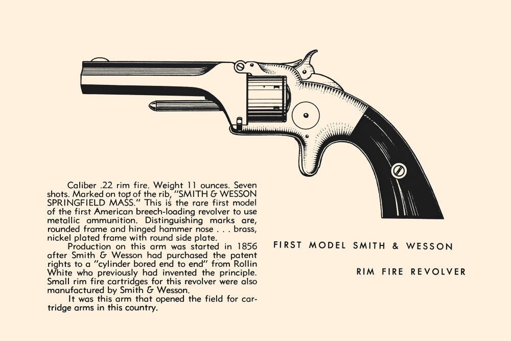 Illustrated page from a firearms history book, showcasing various gun designs.