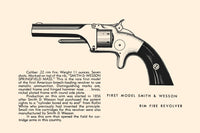 Illustrated page from a firearms history book, showcasing various gun designs.