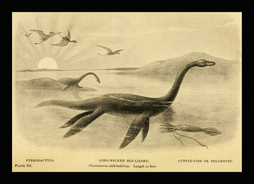 Long Necked Sea-Lizard Pleisosaurus dolichodeirus poster print by Joseph Smit
