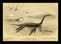 Long Necked Sea-Lizard Pleisosaurus dolichodeirus poster print by Joseph Smit